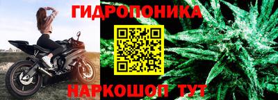 шишки Северобайкальск
